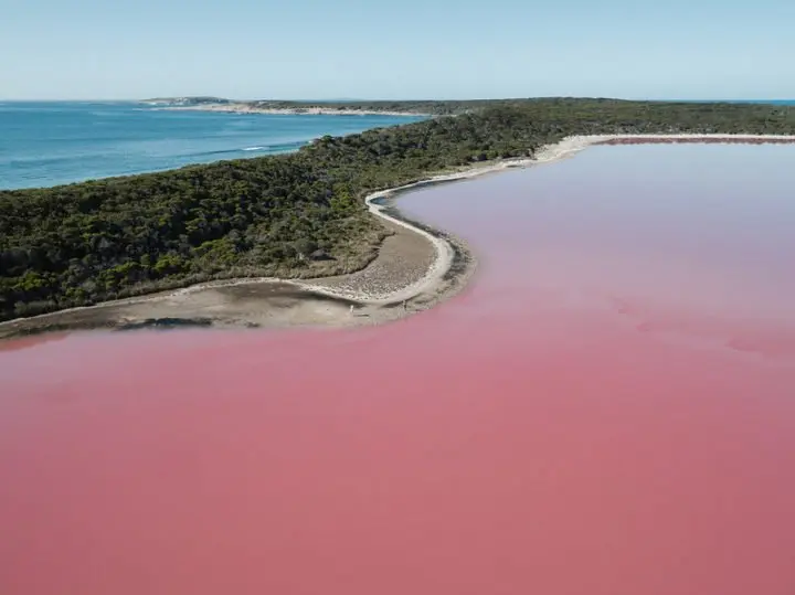Australia el país con la naturaleza y fauna más fascinante del mundo