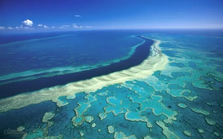 Australia el país con la naturaleza y fauna más fascinante del mundo