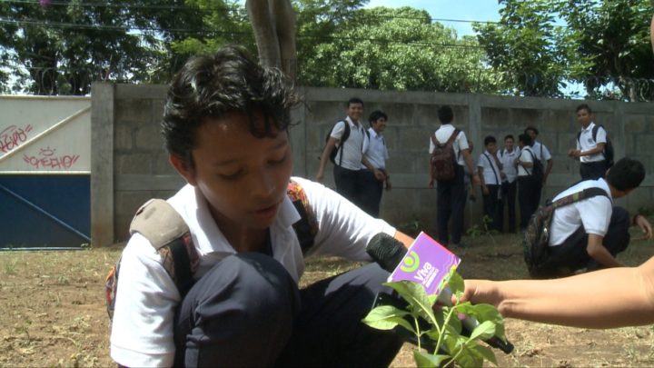El Experimental México le da un toque de verde las fiestas patrias