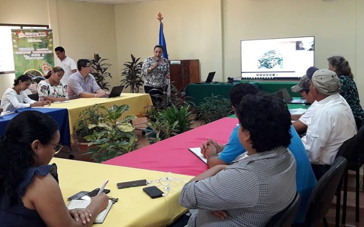 Presentan mapa de escenario climático para cultivo de café y cacao