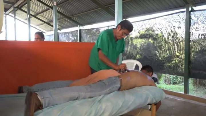 Parque Nacional de Ferias lleno de medicina natural y la belleza