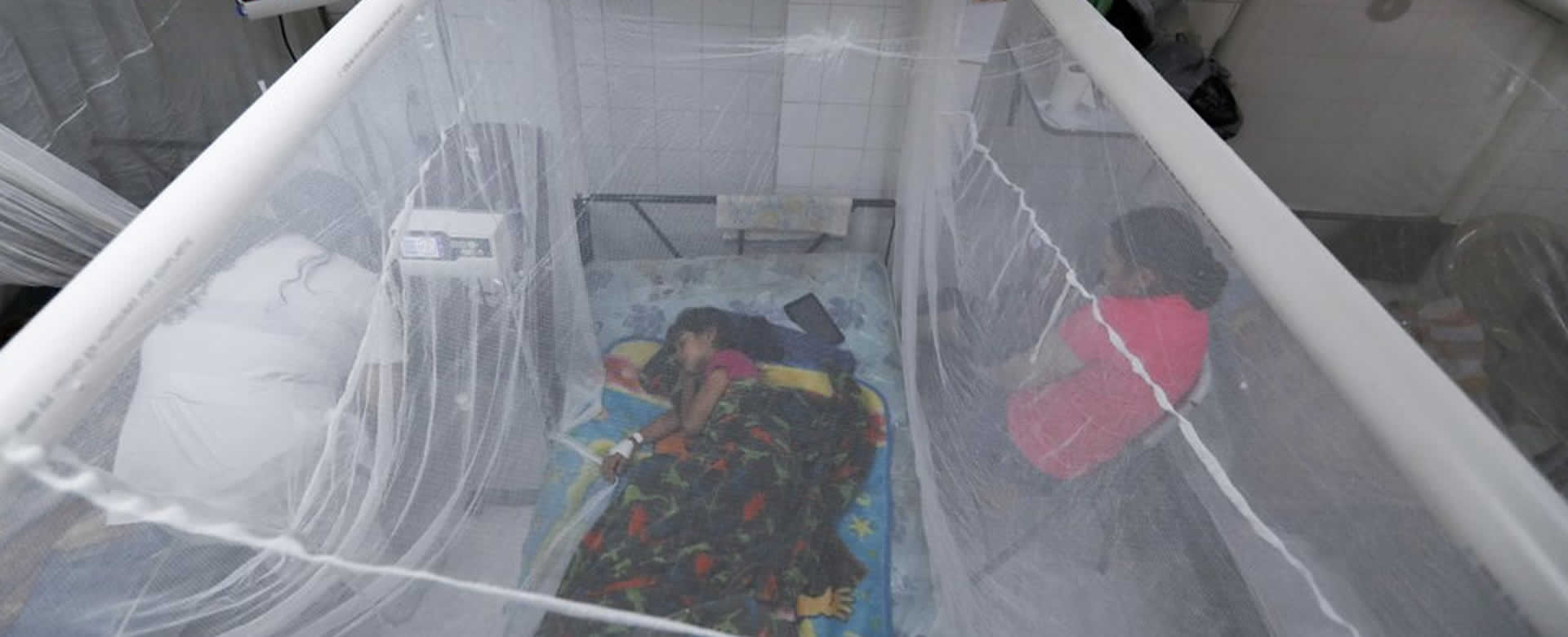 Centroamérica podría presentar su mayor epidemia de Dengue