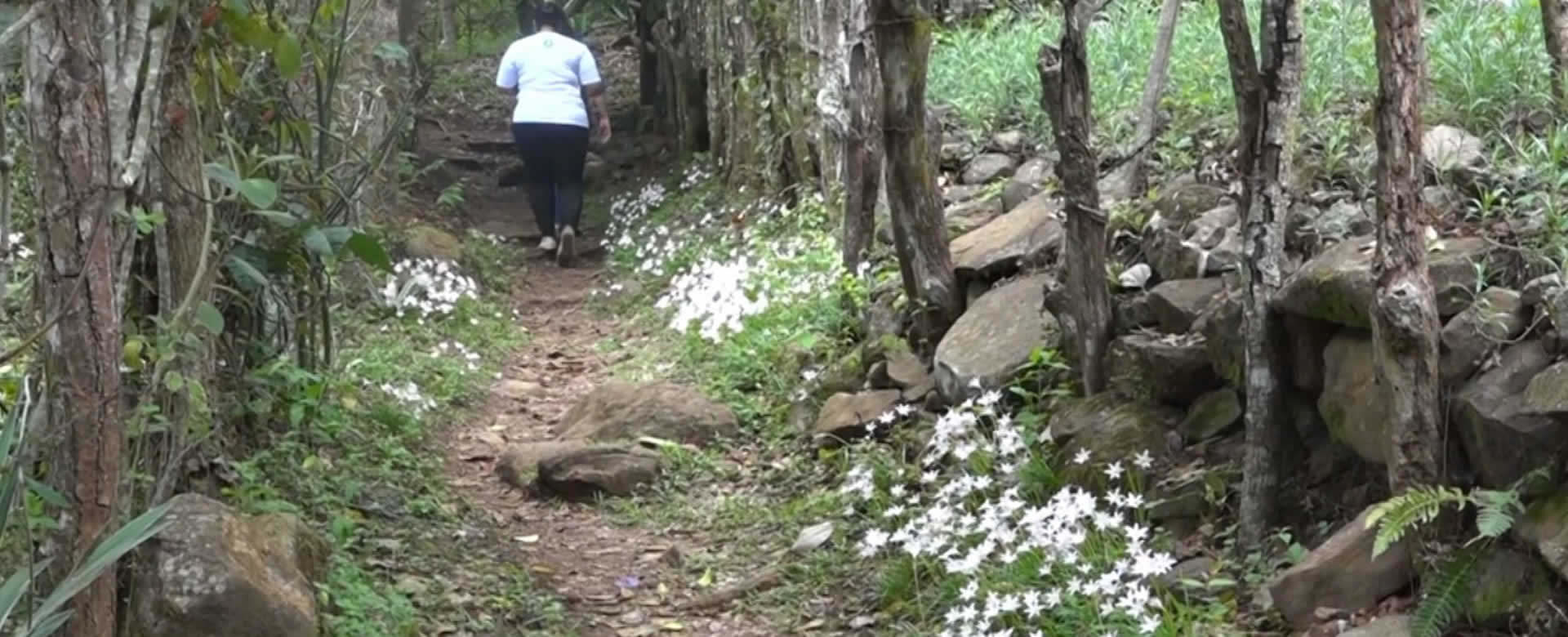 Disfruta de la tranquilidad que ofrece la Finca El Jalacate en Estelí