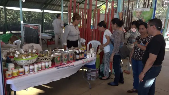 Familias feria medicina tradicional