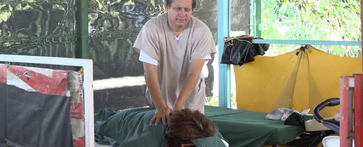 Familias se dan cita en la Feria de la Medicina Tradicional Popular