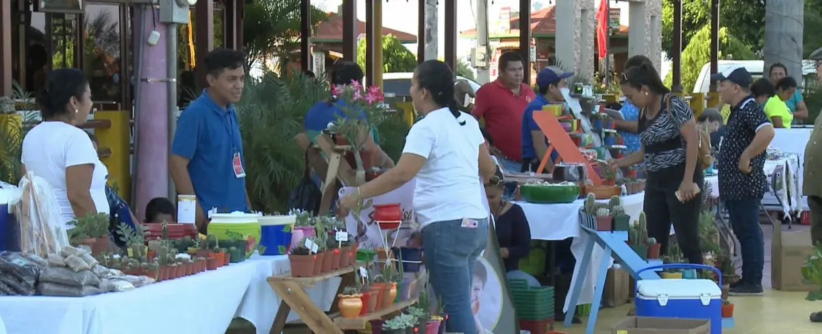 Emprendedores promueven el cuido la naturaleza en la Feria de Productos Reciclados