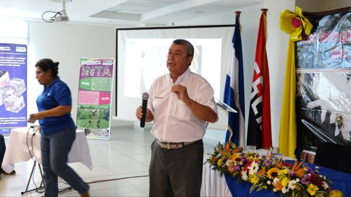 Técnicos del INTA se capacitan en elaboración de productos a base de frutas
