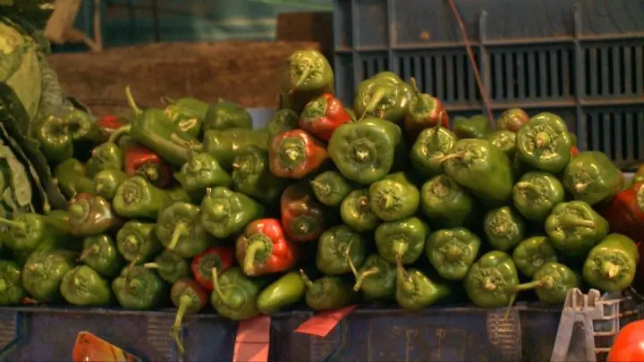 MAG proyecta buena salida de cosechas de hortalizas en Nicaragua