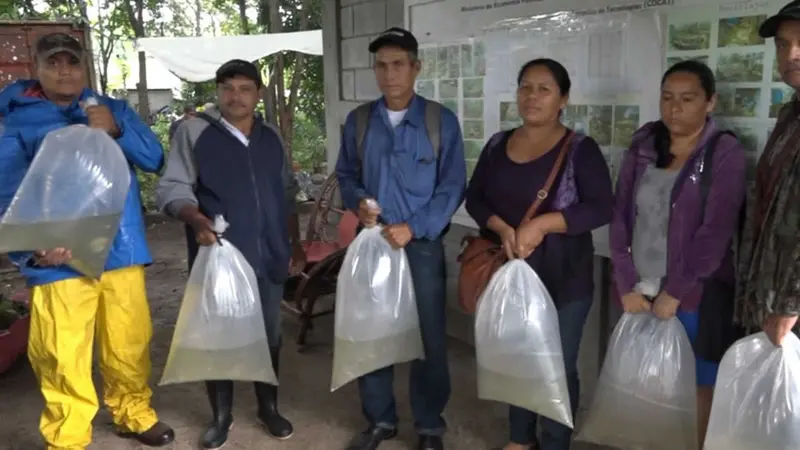 MEFCCA entregan alevines a productores de Boaco 