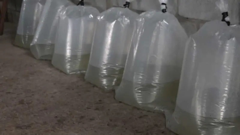 MEFCCA entregan alevines a productores de Boaco 