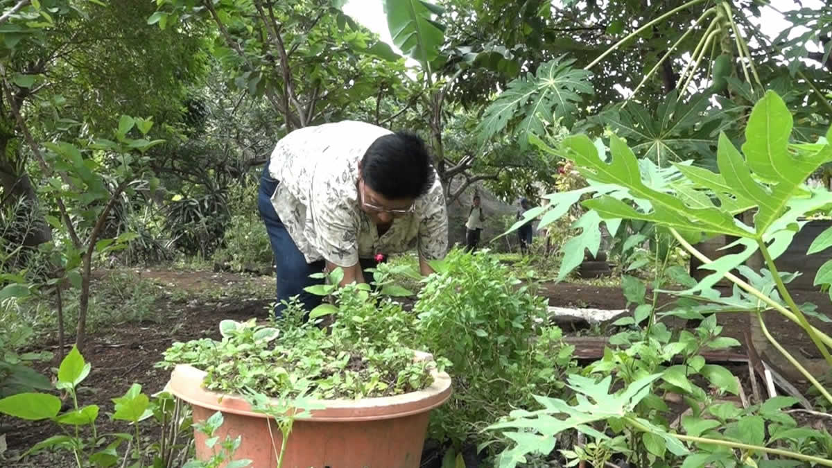 MEFCCA sigue impulsando “Patio Saludable” en las familias de Nejapa