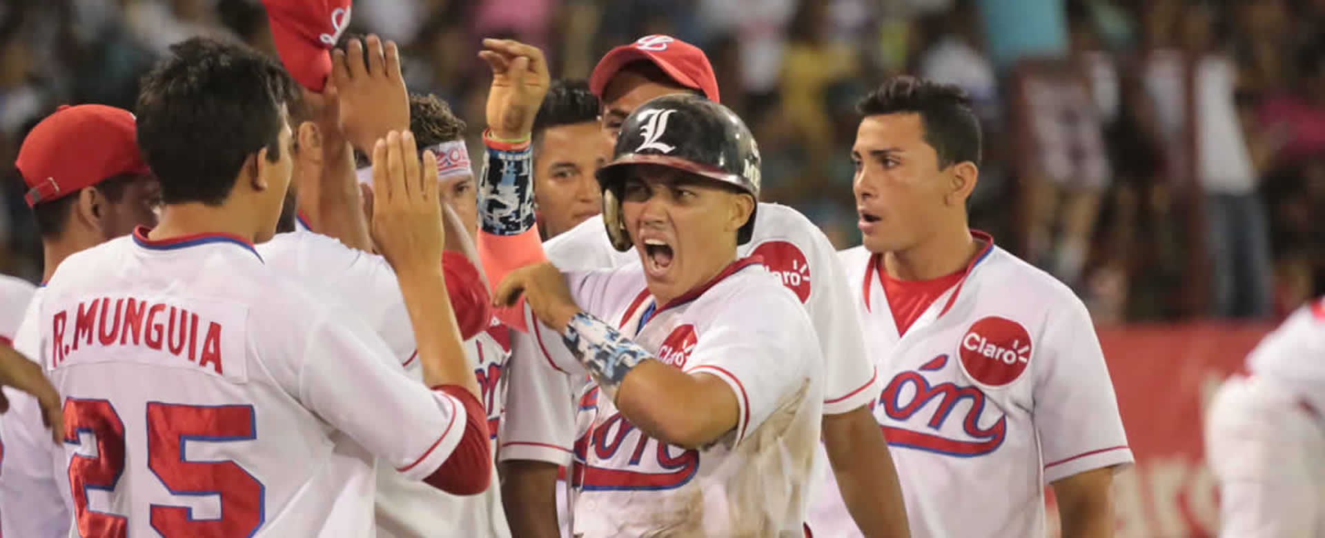 Milkar Pérez y Anderson Parra autorizados con León en la LBPN