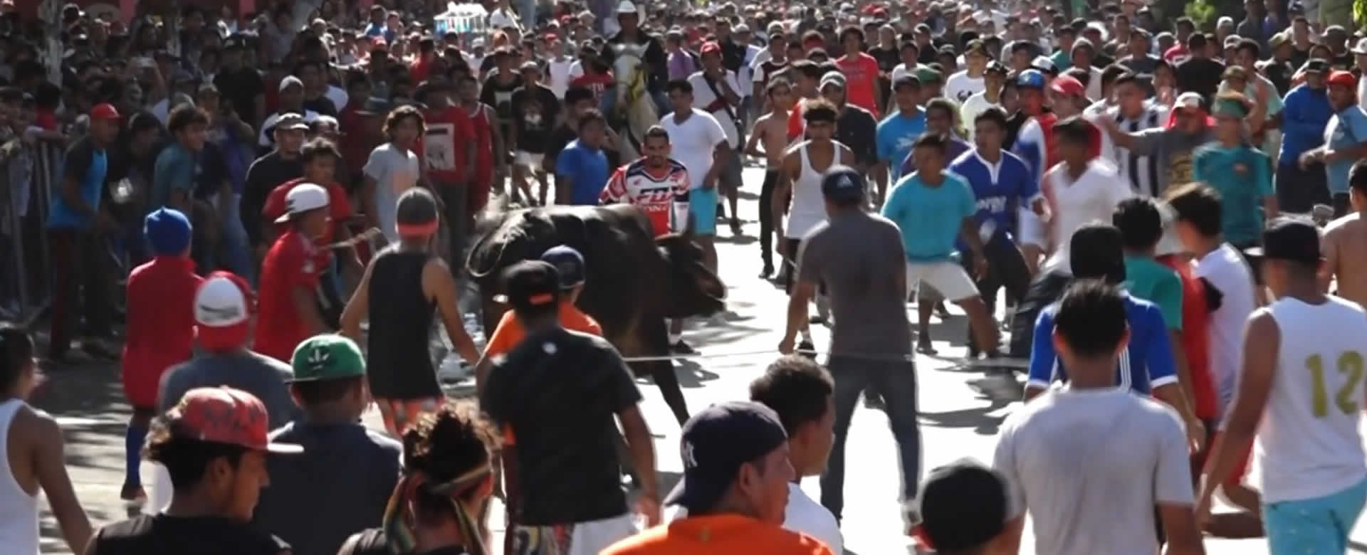 Nicaragüenses se desbordan en el tradicional Tope de Toros en Masaya