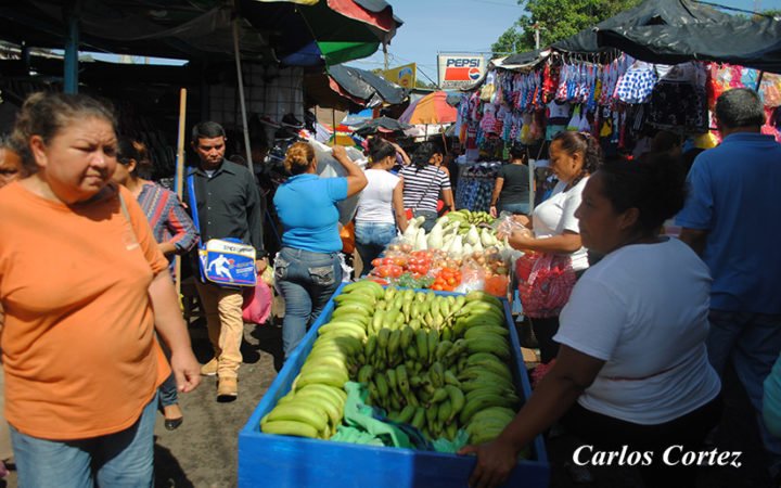 Productos de la canasta básica se mantienen estables en los mercados de Managua