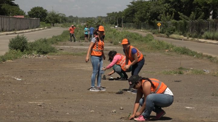 Reforestan con símbolos patrios entornos de urbanización Monte Nebo 