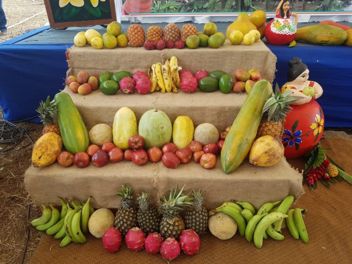 Presentan Estrategia para el Desarrollo de la Producción de Frutas