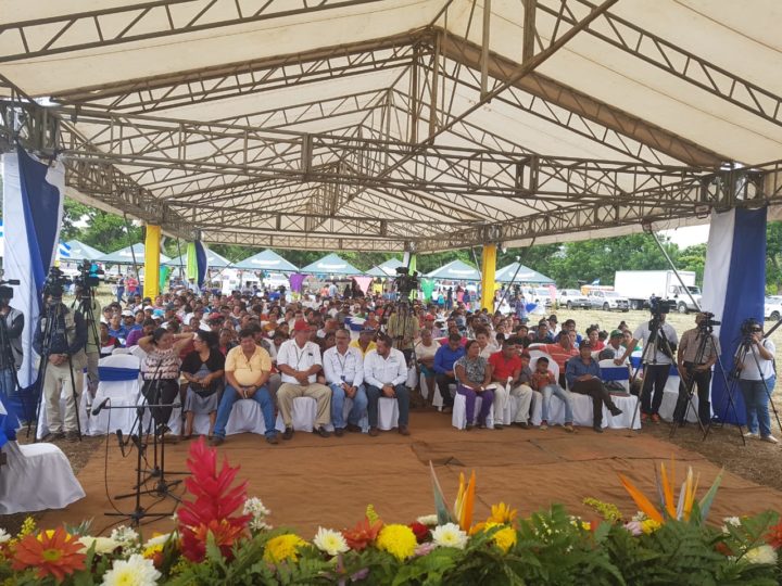 Presentan Estrategia para el Desarrollo de la Producción de Frutas