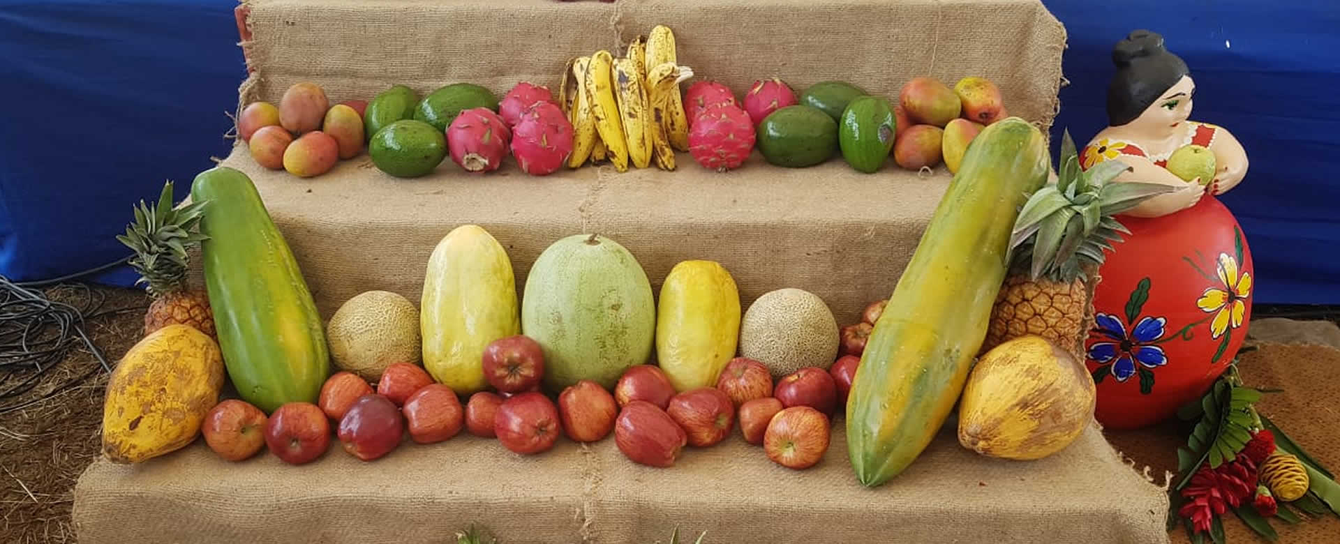 Presentan Estrategia para el Desarrollo de la Producción de Frutas
