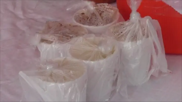 Boaco disfruta la Feria de comida y productos a base de Maíz
