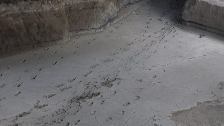Entregan plano topográfico en 3D de las Huellas de Acahualinca