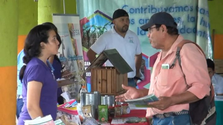 Estrategia Nacional producción avícola