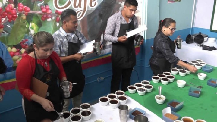 INTA certamen regional Estelí