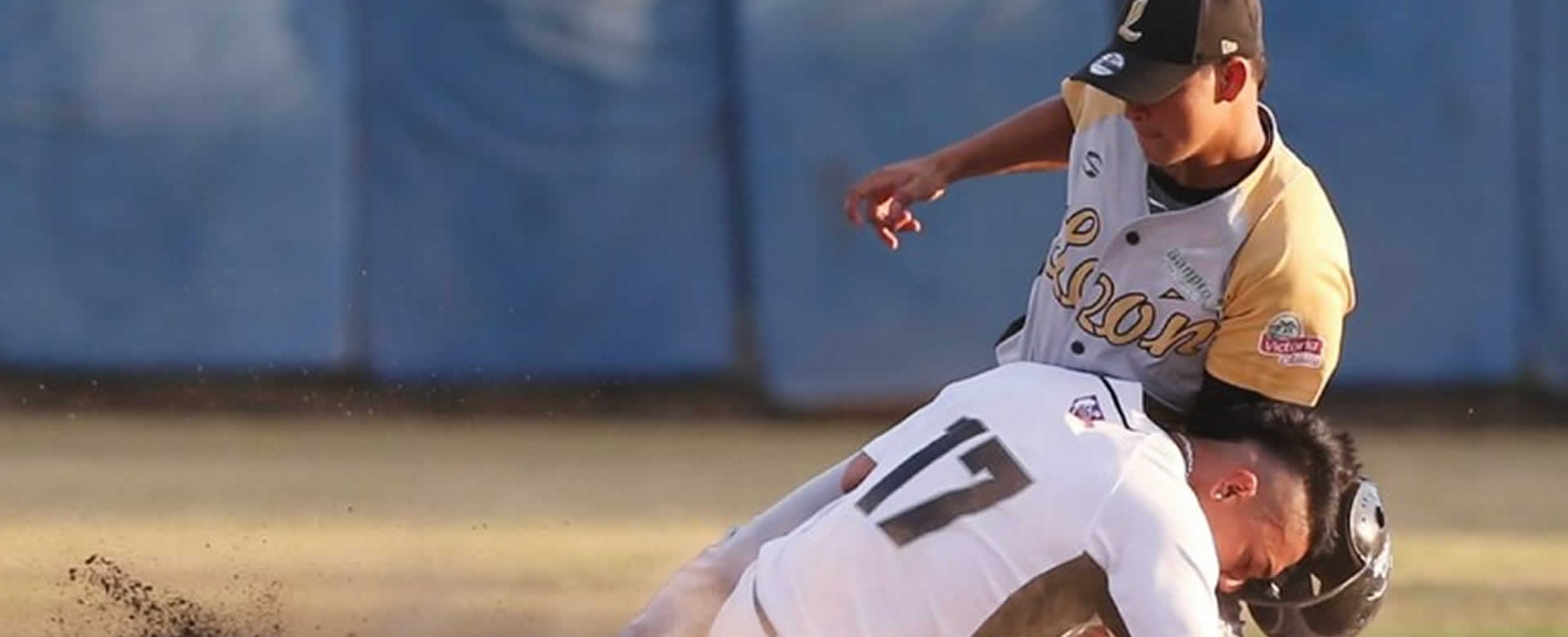 Liga Profesional de Béisbol volverá con mucha dinámica y competencia