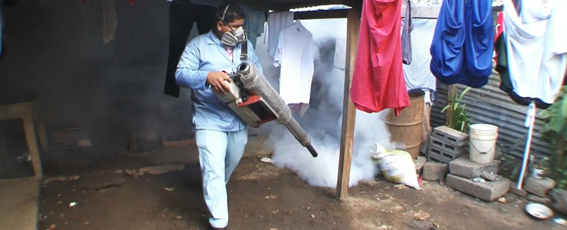 MINSA elimina más de 1 millón de criadero de mosquitos