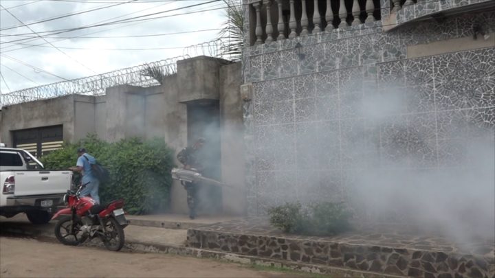 Ministerio Salud mosquito estelí