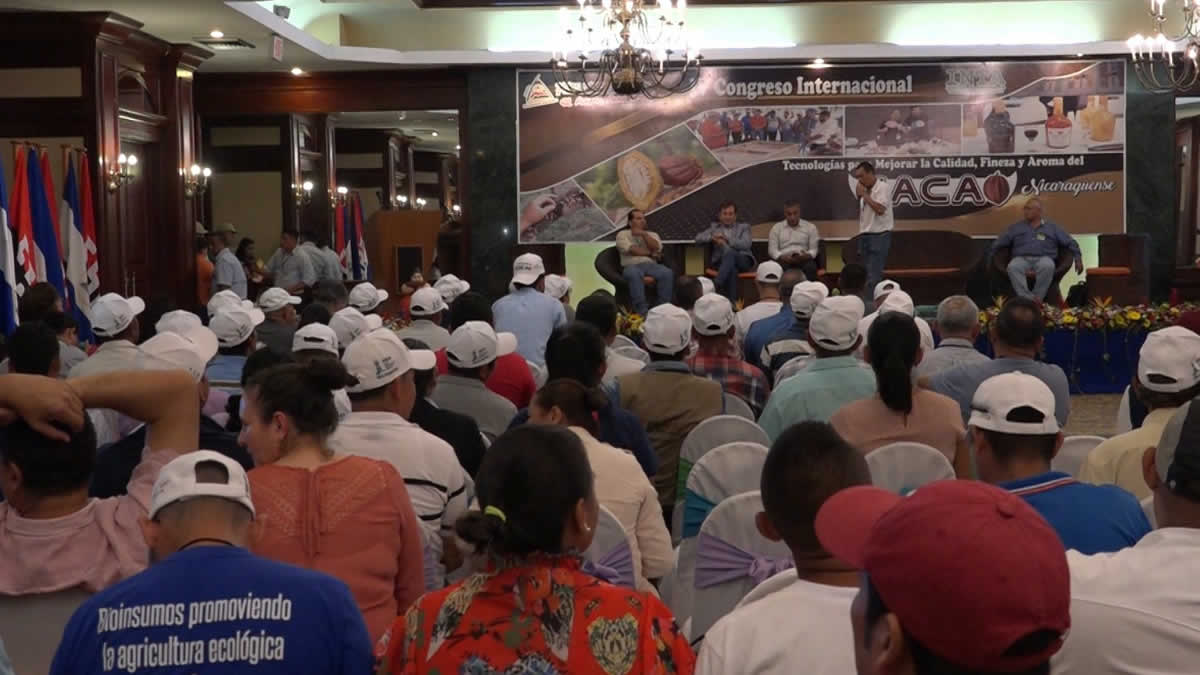 En el IV Congreso Internacional "Tecnología para mejorar la calidad, fineza y aroma del cacao nicaragüense"; destacaron que Nicaragua avanza hacia una producción de cacao más competitiva y sostenible