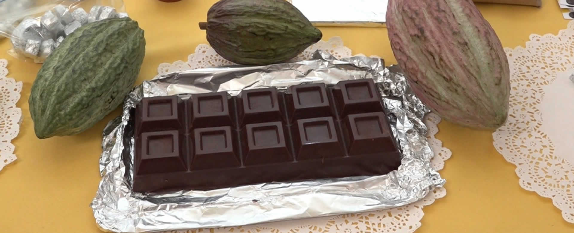 Nicaragua avanza hacia una producción de cacao más sostenible