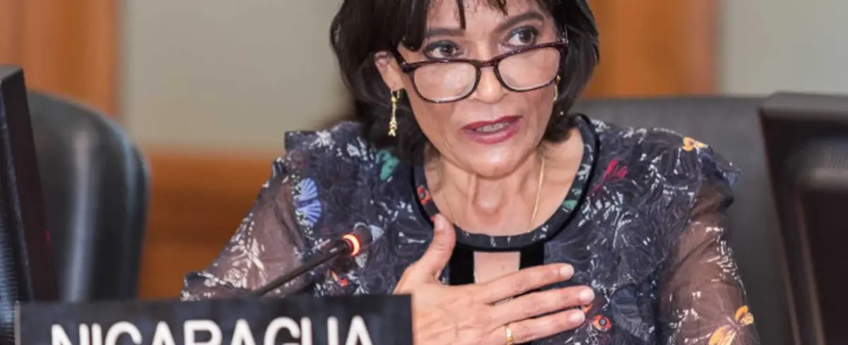 Delegación de Nicaragua se pronuncia en OEA ante la situación en Bolivia