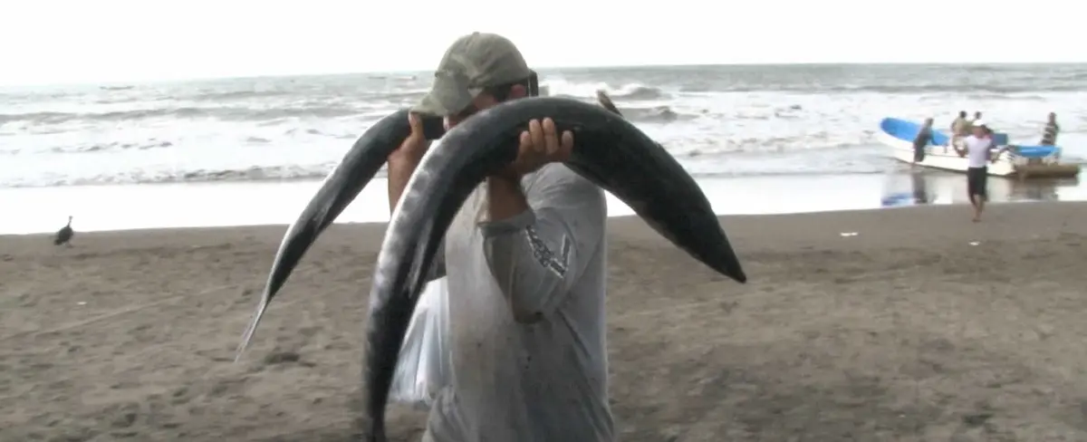 Pescadores suspenden la faena a causa de la onda tropical numero 44
