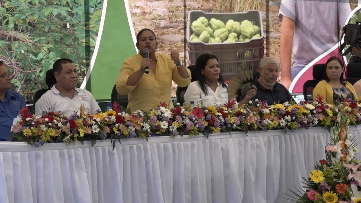 Presentan estrategia nacional para la productividad de raíces y tubérculos