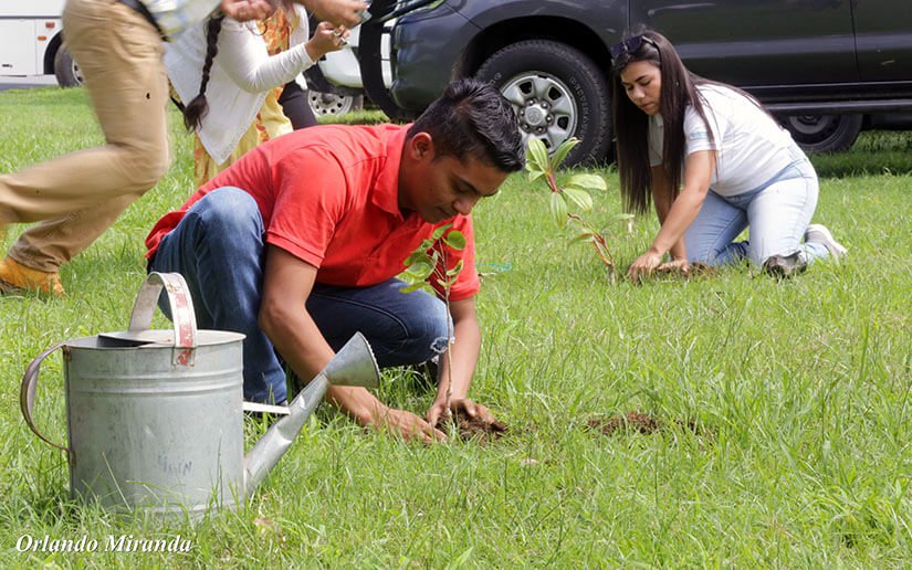 Realizan jornada de reforestación en honor al Comandante “Che” Guevara