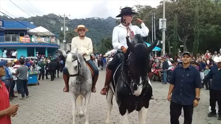 familias jinoteganas tradicional desfile 