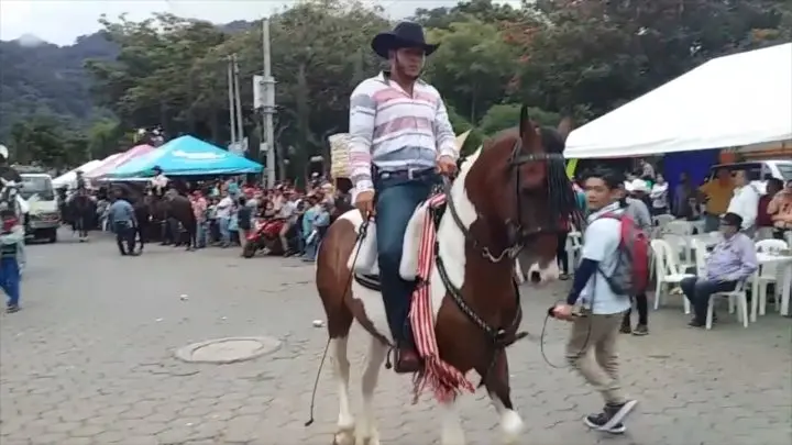 familias jinoteganas tradicional desfile