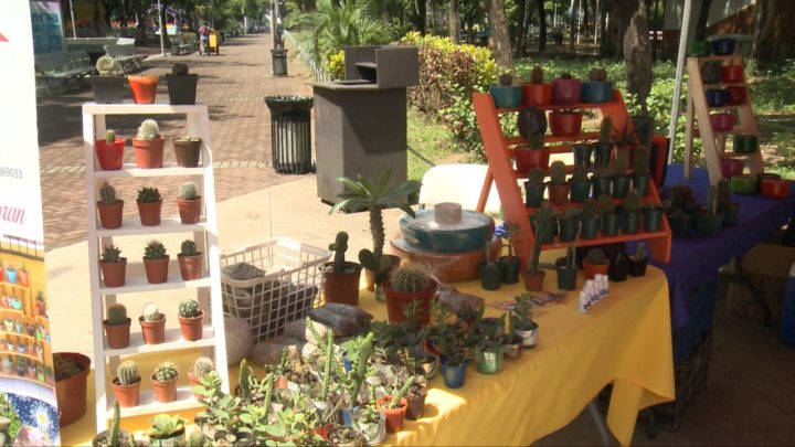 marena cuido naturaleza jóvenes