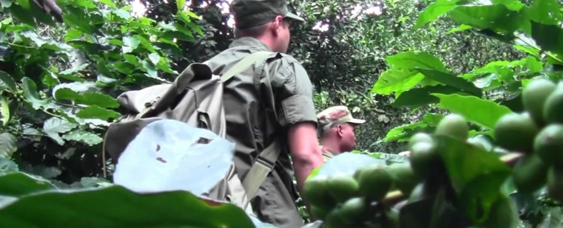 Boaco: Ejército está preparado para dar seguridad en plan café 2019