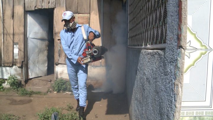 Brigada fumigación Managua