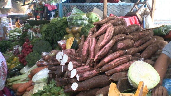Conoce los 13 productos de la canasta básica que mantienen sus precios