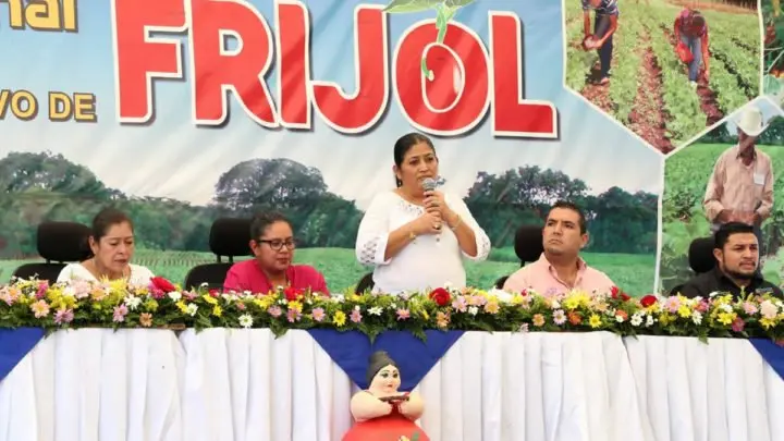 Estrategia nacional productividad frijol 