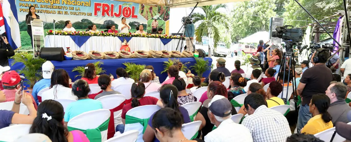 INTA presenta Estrategia Nacional de Productividad del Frijol