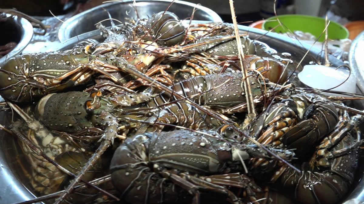 INPESCA participa en la sesión del Consejo Regional del Caribe