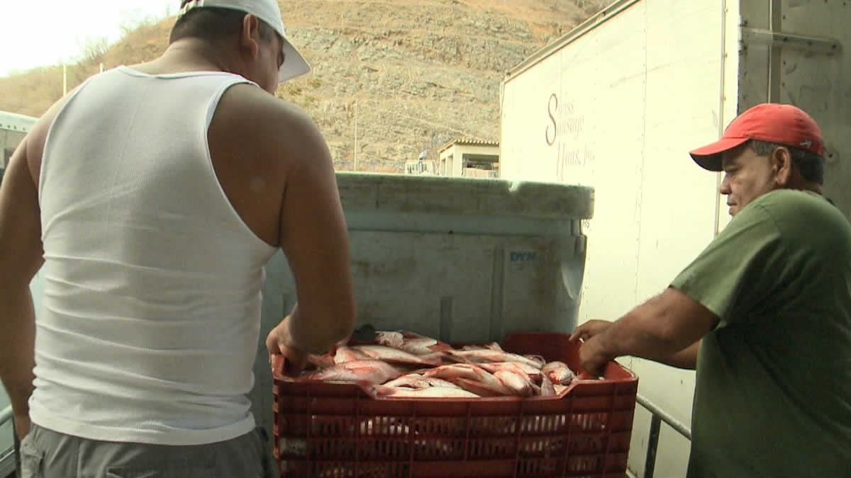 INPESCA participa en la sesión del Consejo Regional del Caribe