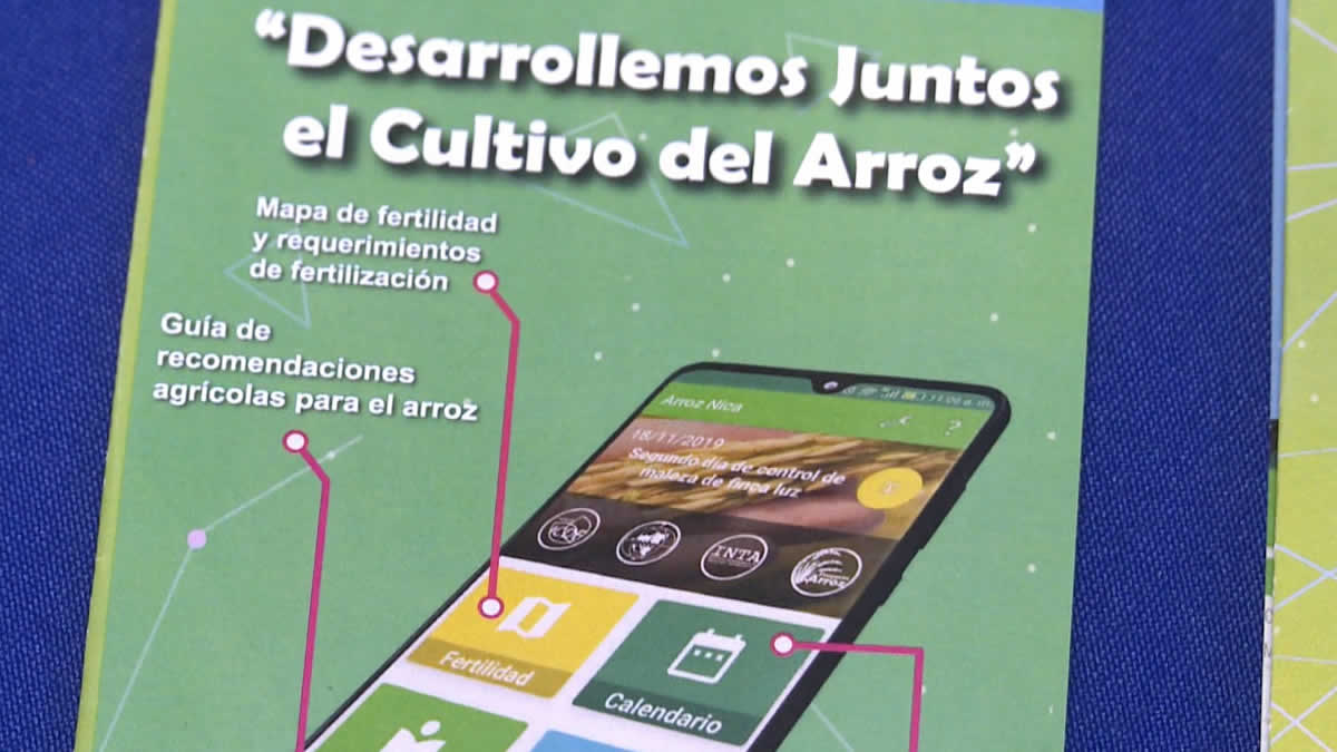 INTA y Misión Técnica de Taiwán desarrollan la aplicación de Nica Arroz