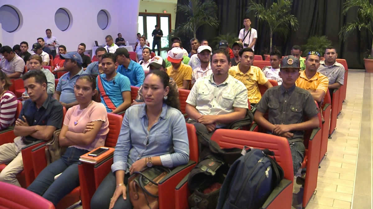 INTA y Misión Técnica de Taiwán desarrollan la aplicación de Nica Arroz
