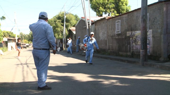 Brigadas del MINSA fumigan 680 viviendas del barrio Las Américas II