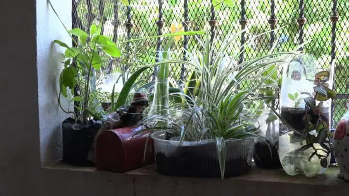 Protagonista mefcca huerta managua