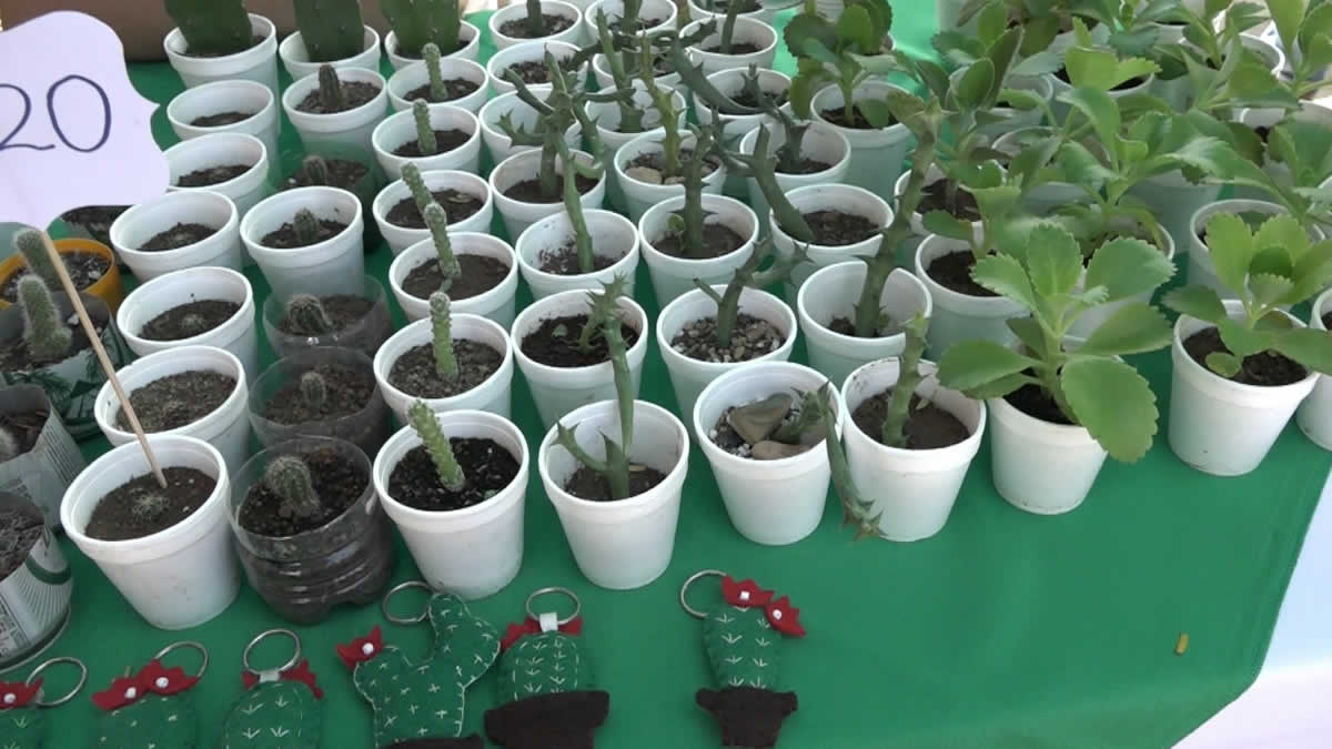 Realizan I feria Eco imagen en Parque Luis Alfonso Velásquez